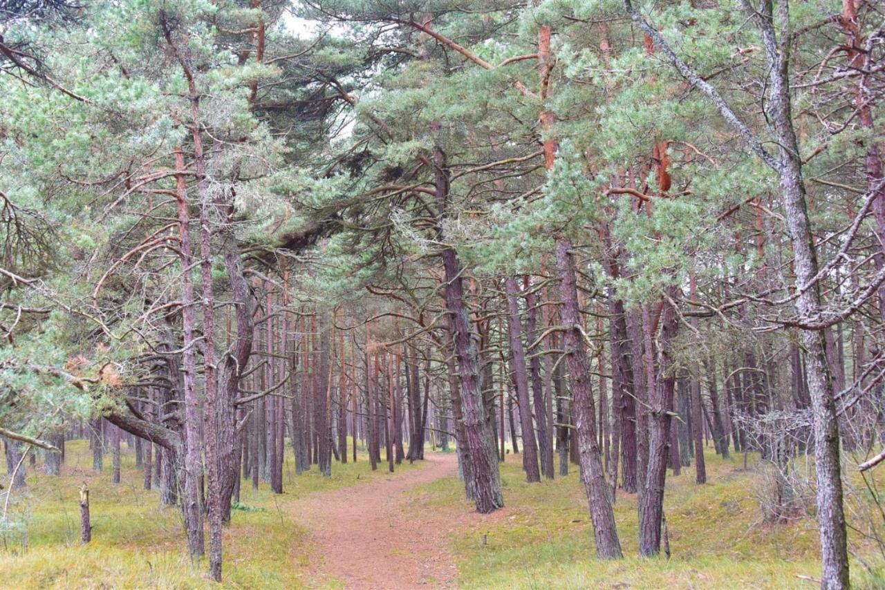 Vila Dia Palanga Exteriör bild